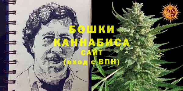 амф Надым