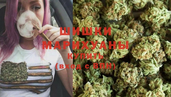 амф Надым
