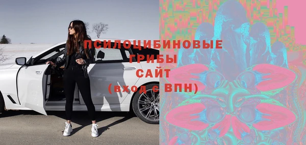 амф Надым