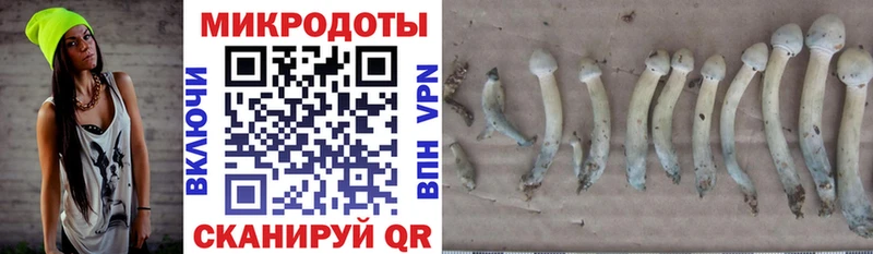 Псилоцибиновые грибы Psilocybe  Купить  Курган 